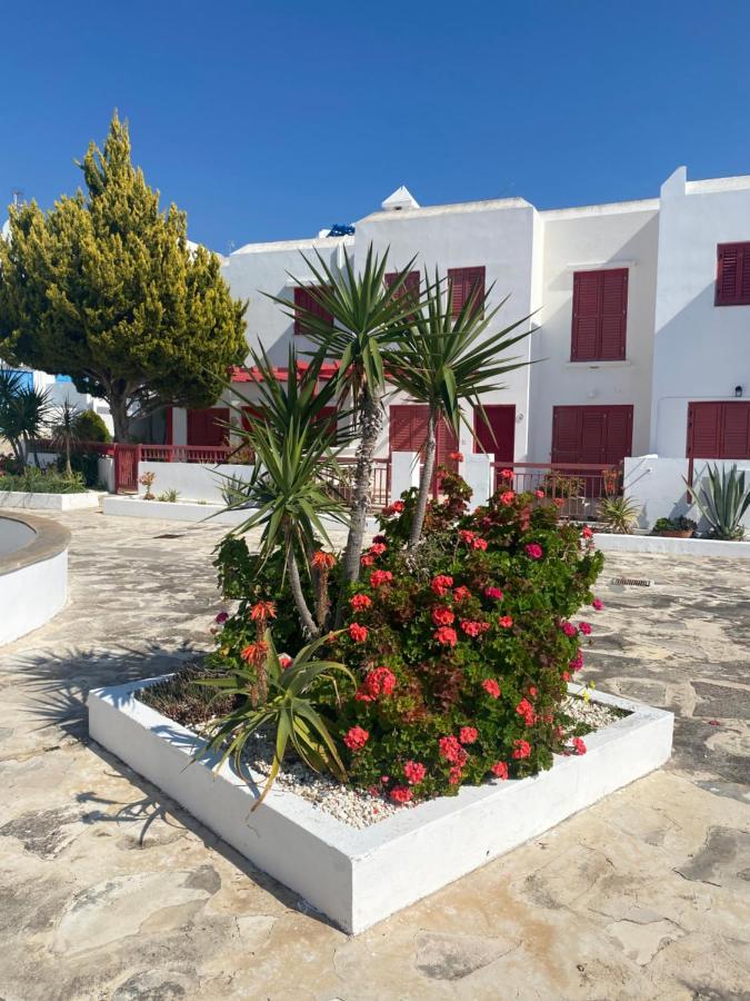 Ikaria Village Apartment Klorakas Exteriör bild