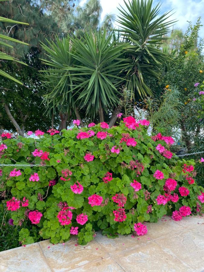 Ikaria Village Apartment Klorakas Exteriör bild